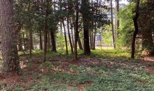 Photo #13 of A6B WHITE TAIL LANE, MACHIPONGO, VA 2.5 acres