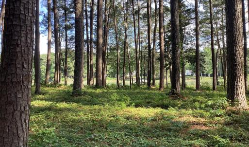 Photo #14 of A6B WHITE TAIL LANE, MACHIPONGO, VA 2.5 acres