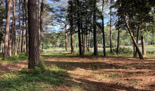 Photo #17 of A6B WHITE TAIL LANE, MACHIPONGO, VA 2.5 acres