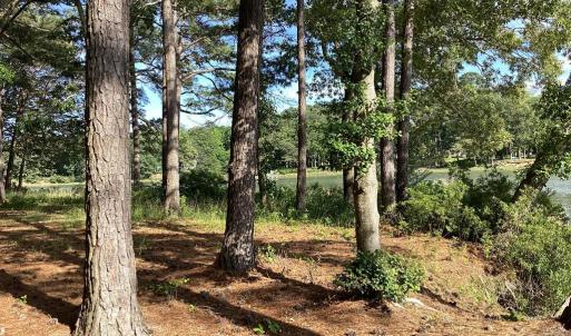 Photo #29 of A6B WHITE TAIL LANE, MACHIPONGO, VA 2.5 acres