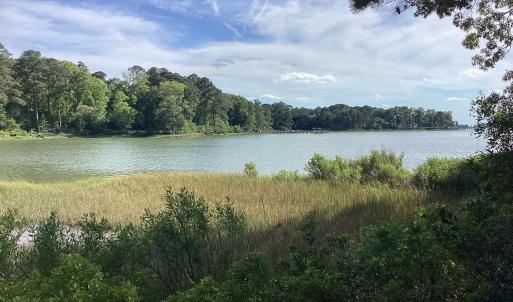 Photo #31 of A6B WHITE TAIL LANE, MACHIPONGO, VA 2.5 acres