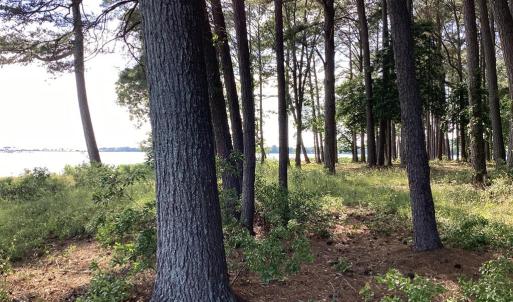 Photo #39 of A6B WHITE TAIL LANE, MACHIPONGO, VA 2.5 acres