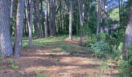 Photo #40 of A6B WHITE TAIL LANE, MACHIPONGO, VA 2.5 acres