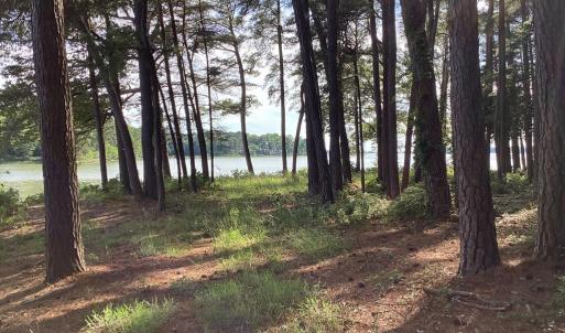 Photo #43 of A6B WHITE TAIL LANE, MACHIPONGO, VA 2.5 acres