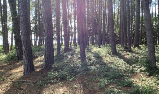 Photo #44 of A6B WHITE TAIL LANE, MACHIPONGO, VA 2.5 acres