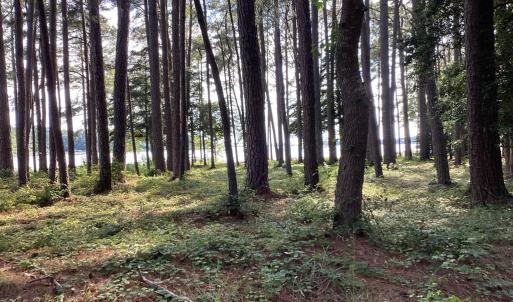 Photo #45 of A6B WHITE TAIL LANE, MACHIPONGO, VA 2.5 acres
