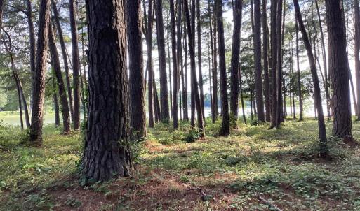 Photo #46 of A6B WHITE TAIL LANE, MACHIPONGO, VA 2.5 acres