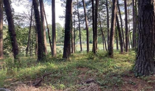 Photo #48 of A6B WHITE TAIL LANE, MACHIPONGO, VA 2.5 acres