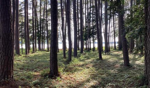 Photo #49 of A6B WHITE TAIL LANE, MACHIPONGO, VA 2.5 acres