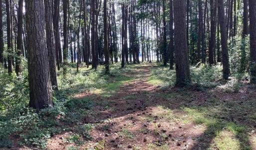 Photo #5 of A6B WHITE TAIL LANE, MACHIPONGO, VA 2.5 acres