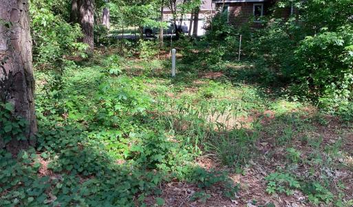 Photo #6 of A6B WHITE TAIL LANE, MACHIPONGO, VA 2.5 acres