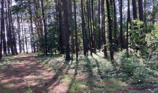 Photo #7 of A6B WHITE TAIL LANE, MACHIPONGO, VA 2.5 acres