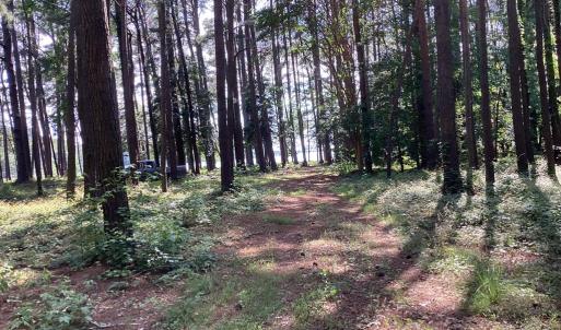 Photo #8 of A6B WHITE TAIL LANE, MACHIPONGO, VA 2.5 acres