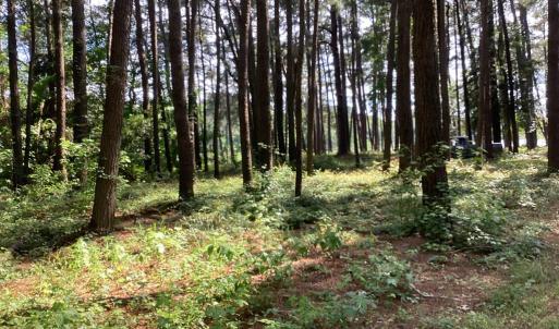 Photo #9 of A6B WHITE TAIL LANE, MACHIPONGO, VA 2.5 acres