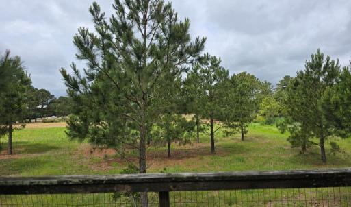 Photo #5 of BUNTING POINT RD, WACHAPREAGUE, VA 27.5 acres