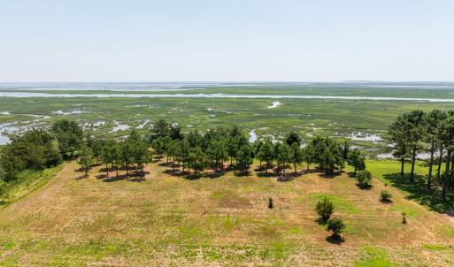 Photo #7 of BUNTING POINT RD, WACHAPREAGUE, VA 27.5 acres