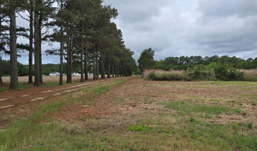 Photo #3 of BUNTING POINT RD, WACHAPREAGUE, VA 24.6 acres