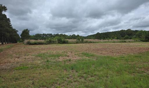 Photo #4 of BUNTING POINT RD, WACHAPREAGUE, VA 24.6 acres