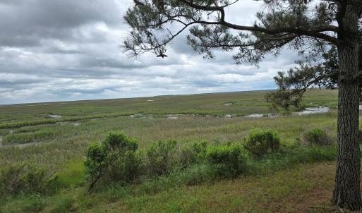 Photo #6 of BUNTING POINT RD, WACHAPREAGUE, VA 24.6 acres