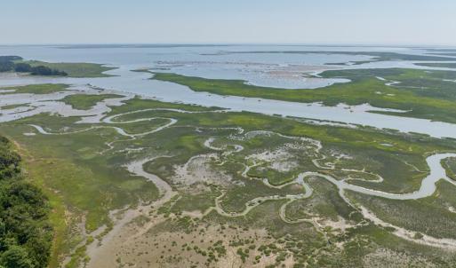 Photo #9 of BUNTING POINT RD, WACHAPREAGUE, VA 24.6 acres