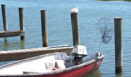 Photo #3 of Lot 320 WALLOPS DRIVE, HORNTOWN, VA 0.1 acres