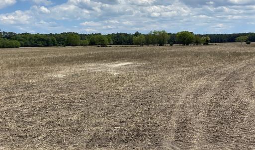 Photo #4 of 1-9 CHURCH RD, ONLEY, VA 119.0 acres