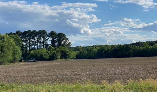 Photo #3 of AIRPORT RD, MELFA, VA 89.0 acres