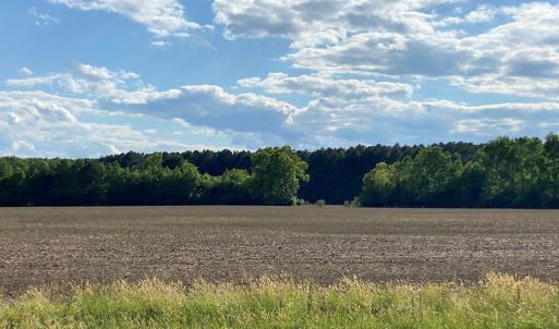 Photo #4 of AIRPORT RD, MELFA, VA 89.0 acres