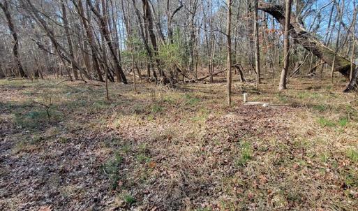 Photo #10 of Lot 5 CLEARWATER WAY, BELLE HAVEN, VA 4.3 acres