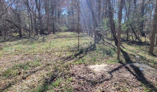 Photo #11 of Lot 5 CLEARWATER WAY, BELLE HAVEN, VA 4.3 acres