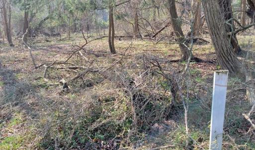Photo #13 of Lot 5 CLEARWATER WAY, BELLE HAVEN, VA 4.3 acres