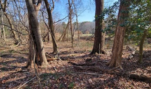 Photo #4 of Lot 5 CLEARWATER WAY, BELLE HAVEN, VA 4.3 acres