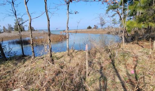 Photo #5 of Lot 5 CLEARWATER WAY, BELLE HAVEN, VA 4.3 acres