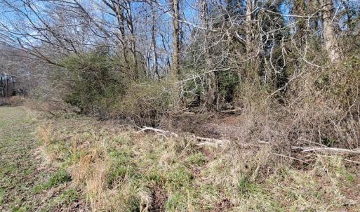 Photo #8 of Lot 5 CLEARWATER WAY, BELLE HAVEN, VA 4.3 acres