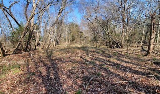 Photo #9 of Lot 5 CLEARWATER WAY, BELLE HAVEN, VA 4.3 acres