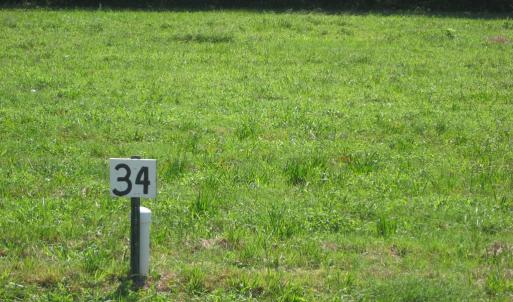 Photo #2 of CANDY LANE, EASTVILLE, VA 0.5 acres