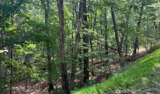 Photo #2 of Lot 102 GREENVIEW DR, BASYE, VA 0.6 acres