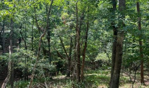 Photo #4 of Lot 102 GREENVIEW DR, BASYE, VA 0.6 acres
