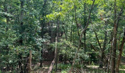 Photo #5 of Lot 102 GREENVIEW DR, BASYE, VA 0.6 acres