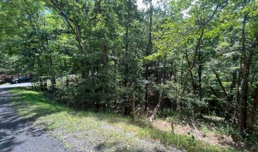 Photo #6 of Lot 102 GREENVIEW DR, BASYE, VA 0.6 acres