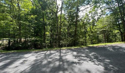 Photo #7 of Lot 102 GREENVIEW DR, BASYE, VA 0.6 acres