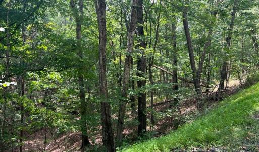 Photo #1 of Lot 102 GREENVIEW DR, BASYE, VA 0.6 acres