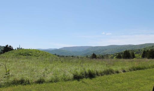Photo #5 of TBD STONE BROOK DR, STANARDSVILLE, VA 116.4 acres