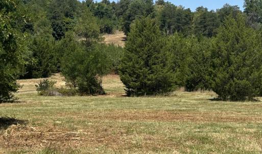 Photo #9 of TBD STONE BROOK DR, STANARDSVILLE, VA 116.4 acres