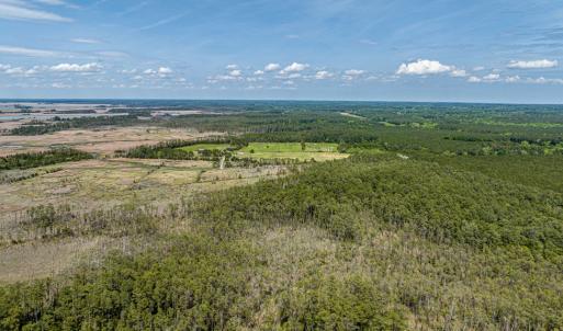 Photo #10 of Lot 32* YOUNGS CREEK RD, BLOXOM, VA 19.0 acres