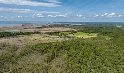 Photo #11 of Lot 32* YOUNGS CREEK RD, BLOXOM, VA 19.0 acres