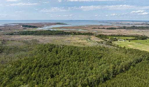 Photo #12 of Lot 32* YOUNGS CREEK RD, BLOXOM, VA 19.0 acres