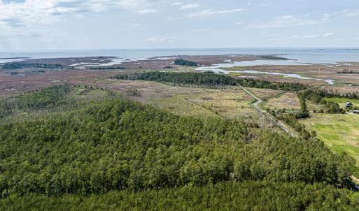 Photo #13 of Lot 32* YOUNGS CREEK RD, BLOXOM, VA 19.0 acres