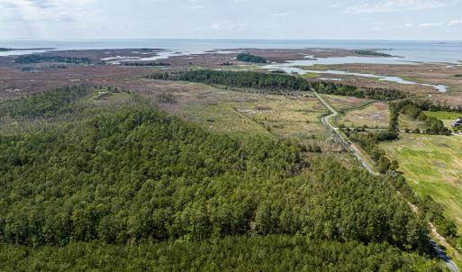 Photo #14 of Lot 32* YOUNGS CREEK RD, BLOXOM, VA 19.0 acres