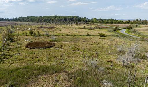 Photo #16 of Lot 32* YOUNGS CREEK RD, BLOXOM, VA 19.0 acres